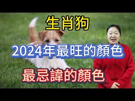 狗 幸運色|【狗的幸運色】狗年迎好運！必知屬狗者幸運色，旺運驅邪一整。